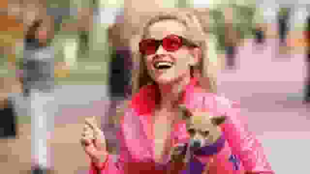 legally blonde 3 release date