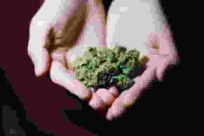 Health-Cannabis-TreatmentforChronicPain-Newsbreak